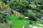 Teren de investiție în Moieciu, lângă Castelul Bran – 11.381 mp, vedere Bucegi - 15