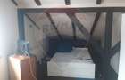 Hotel / Pensiune cu 18 camere de închiriat - 19