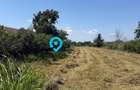 Teren intravilan 4.000 mp Comana (Budeni) | 10 €/mp negociabil | Comis