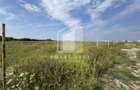 Teren 1000 mp | Zona Balta Blonda
