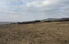 Teren agricol extravilan de vânzare – 67.500 mp – Dealul Daii, Sibiu - 6