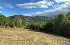 Teren intravilan de vanzare 960 mp Cisnadioara, Sibiu - 18