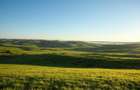 Vanzare Teren Extrav. Arabil, Pășune Chesint, Zabrani 1ha - 48.86ha - 4