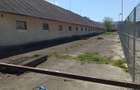Imobil pretabil depozitare, comert, cladire 1000 mp, teren 3416 mp in BUDILA - 5
