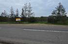 LIVADA  DE VANZARE FOCSANI-DUMBRAVITA  1,8  HA - 33