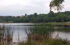 RATE Pensiune 12 cam Superba*** malul Lac Mocearu piscina ,16277mp - 35