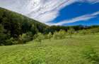 Teren 5.600 mp – Liniște, Natură și Verdeață | 10€/mp - Comision 0% - 8