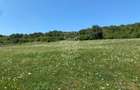 Teren 11.000 mp-ideal cabana/ferma-Unirea-Valea Slatinitei - 6