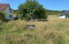 Teren intravilan 1300 mp-Viile cu Pomi-Unirea-Exclusiv - 3