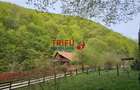 Casă de vacanță la pădure | Teren 891 mp | Valea Ighielului - 16