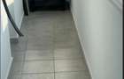AP 2 CAM DE VANZARE RENOVAT RECENT . - 9
