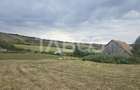 Teren de vanzare 8700 mp cu un front de 30m in Sura Mare - 7