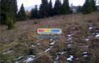 Teren pentru Complex Turistic - 12 730 mp  - Vatra Dornei
