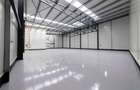 Zona Pallady - hale noi cu amplasament strategic - 3