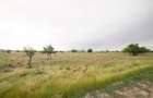 Lot teren 700 mp*Intravilan*Comuna Berceni*deschidere 17m - 4