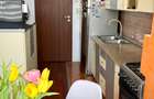 Vanzare apartament Grivitei mobilat - 3