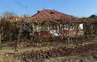 Casa cu 807 mp teren de vanzare, SERBANESTI,  str. Spicului-Bacau - 12