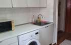 Inchiriere 2 camere Teiul Doamnei - 6