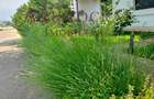 Duplex 4 camere mobilat si utilat - 3