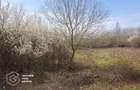 Teren intravilan, 1080 mp, Lipova - 4