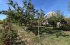 Casa individuala, 86 mp, teren 7370 mp, zona Bilca - 12