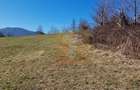 Teren intravilan de 4.000 mp în Bistrița – Alexandru cel Bun - 6