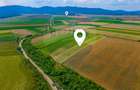 Oportunitate pentru fermieri: 10.800 mp teren arabil în Rotbav, Brașov - 1