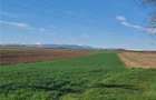 Teren extravilan 4.500- max.18.300mp in comuna Rosia (17 km de Sibiu) - 9