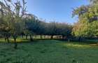 Puciosa Moreni Valea Lunga Sat Izvoru 20000mp teren de vanzare - 14