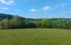 Teren extravilan Bradu - zona cu panorama superba - 6