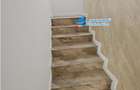 Vila P+1 Samurcasi 113 mpu 4 camere teren 515 mp - 19