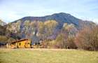 Comision0% Teren intravilan  2500mp Zarnesti Tohanita-investitie - turism - 6