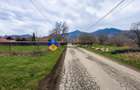 Teren 1200 mp Vadurele - comuna Alexandru cel Bun , cu utilitati - 5