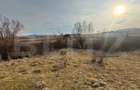 Oportunitate de investitie, teren extravilan, 11200 mp, zona VALEA MAGHERUSULUI - 1