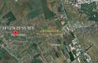Teren stradal pe T  Vladimirescu, Domnesti - 8