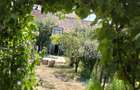 Casă 60 mp utili, teren 1.400 mp | Borșa (Răscruci), Cluj