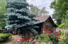Vila cu piscina -7 camere - Ghermănești - 21