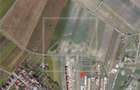 Teren de vanzare - intravilan 5000 mp - cartier Gusterita - 4