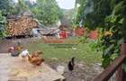 Casa in Telita cu vedere spre padure! - 7