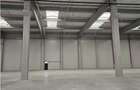 Spatiu Industrial - 8200 mp - Logistica - Depozitare - Distributie - 12