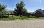 Teren intravilan de vânzare – Coltău, Maramureș | Zonă rezidențială de case - 2
