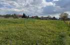 Teren Sat Bacel 6200 mp - 7