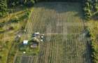 Afacere la Cheie: Plantație Afine – 1.93 Ha – Profit Garantat - 6