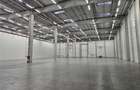 Spatii Industriale - 9500 mp - Logistica - Productie - Depozitare - Distributie - 12
