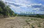 Teren 3.000 mp cu priveliște panoramică spre Munții Făgăraș - 7
