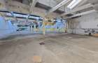 Platforma Industriala-8 ha -Fabrica-Hale Productie-21.500 mp - 10