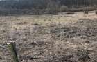 Teren intravilan de vanzare, 9783 mp, Paleu zona Iacului - 2