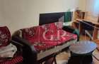 1 Camera | 35 MP | PETFRIENDLY | ZORILOR - 2