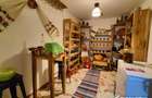 Casa individuala situata in inima naturii, zona Dealul Fanatelor - 16