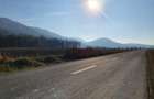 Vanzare Teren intravilan Str. Cucului, zona Bartolomeu 18600 mp - 15